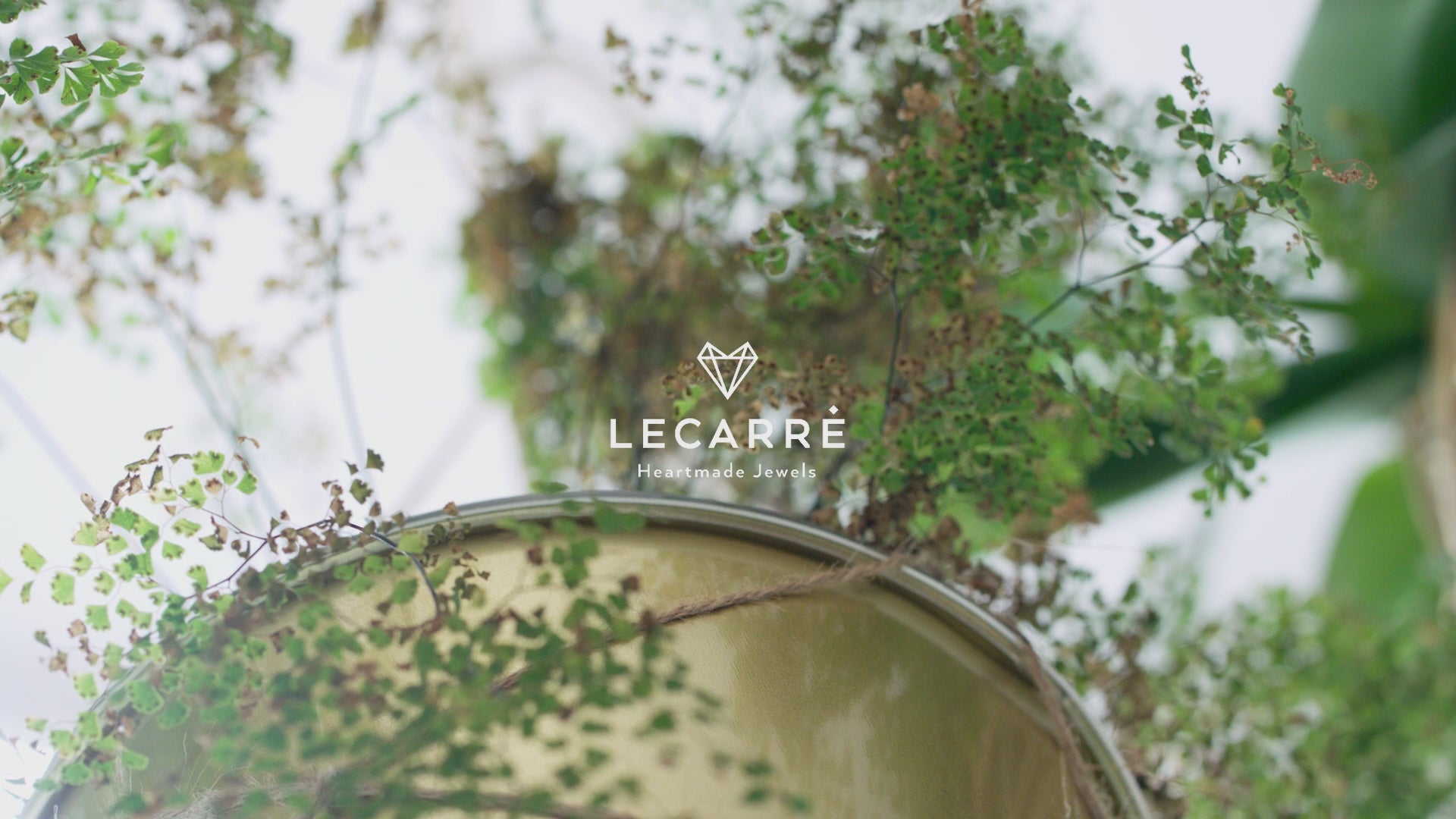 LECARRE VIDEO