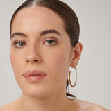 304 stainless steel big hoop earrings, 14K gold pvd coating with clear cubic zirconia.|BEIE017