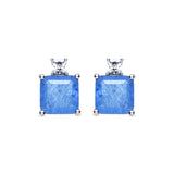 Ryox 925 Sterling Silver Earrings